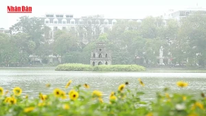 河内张灯结彩 喜迎南方解放、国家统一50周年【视频】