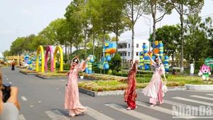粉红莲花之乡的500米花街迎客来【组图】