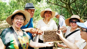 游客对蜂巢特别感兴趣。
