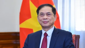 越南政府副总理兼外交部长裴青山。