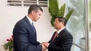 2024年11月，赴巴西里约热内卢出席二十国集团领导人峰会的越南政府总理范明正会见巴拉圭总统圣地亚哥·培尼亚。（图片来源：越通社）
