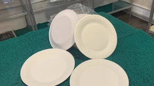 美国对越南产纸盘作出反补贴初裁。