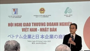 日本贸易振兴机构（JETRO）常务副理事长中沢刚之发表讲话。（图片来源：越通社）