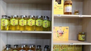 薄荷蜂蜜是河江省同文岩石高原的“一乡一品”产品。（图片来源：越通社）