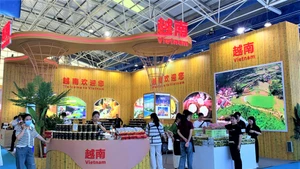 越南产品亮相RCEP经贸博览会