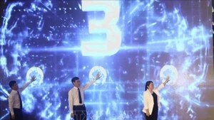 各位代表按钮启动越南高平市-中国白色市跨境旅游路线。（图片来源：越通社）