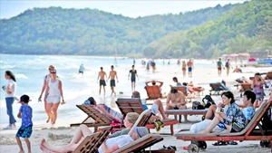 富国岛——国际游客青睐的热门目的地。