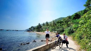 南游群岛目前共有近5000名居民、1100多户家庭。