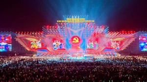 庆祝越共第十四次全国代表大会圆满成功的特别文艺节目。