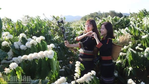 年轻游客在咖啡花园中打卡留影。