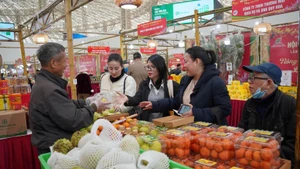 市场供应充足 价格基本稳定