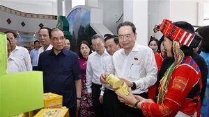 国会主席陈青敏和原越共中央总书记农德孟参观当地产品展会。（图片来源：越通社）