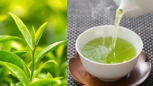 附图。（图片来源：thuonghieusanpham.vn）