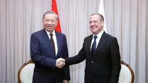 越共中央总书记苏林会见统一俄罗斯党主席、俄罗斯联邦安全会议副主席梅德韦杰夫。（图片来源：越通社）