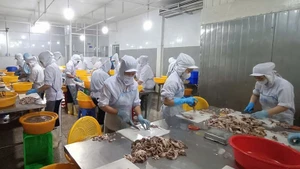 前 10 个月，越南水产品出口额约达 93.1 亿美元，同比增长约 12.9%