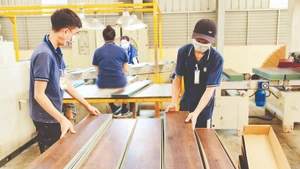 同奈省同富工业园区一家工厂正在生产用于出口的 MDF 板材。