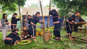 波来古市邑村已成为与嘉莱族文化保护相结合的社区旅游示范村。