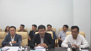 岘港市科学技术局副局长黎山峰在工作会谈上发表讲话。