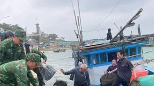 胡志明市收紧船队管理，随时迎接欧委会IUU检查。（图片来源：越通社）