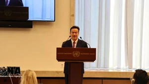 梅潘勇大使在会上发言。（图片来源：越通社）