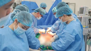 附图。（图片来源：越通社）