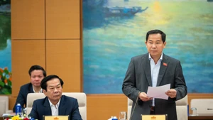 越共中央委员、国会秘书长、国会办公厅主任、国家选举委员会办公厅主任黎光孟在会上作报告。（图片来源：越通社）