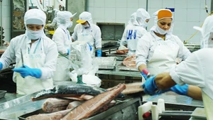 水产品是对美洲地区出口增长最为强劲的行业之一。（南英 摄）