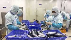 水产品是越南对以色列出口的主要优势商品之一。