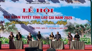 当地艺人展示传统茶艺。