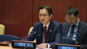越南常驻联合国代表团团长杜雄越大使发表讲话。（图片来源：越通社）