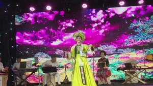 《越南文化精髓》文艺晚会在布拉格皇城活动中心正式拉开帷幕。（图片来源：越通社）