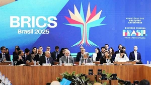 出席2025年巴西金砖峰会的金砖国家领导人及合作伙伴。（图片来源：Sputnik Globe）