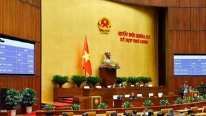 国会通过了《数字技术产业法》。（图片来源：越通社）