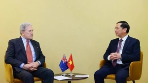 越南政府副总理兼外交部长裴青山会见新西兰外长彼得斯。（图片来源：越通社）