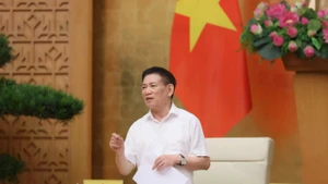 越南政府副总理胡德福在会上致辞。（图片来源：VGP）