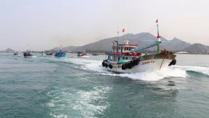 附图。（图片来源：VGP）