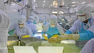 VietFarm芦荟生产线。（图片来源：越通社） 