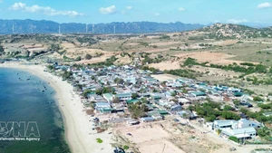 越南力争在2030—2035年期间将宁顺核电项目投入运营。（图片来源：越通社）