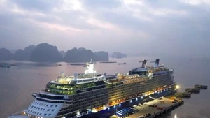 春节期间广宁省预计接待国际邮轮游客达数千人次。（图片来源：越通社）