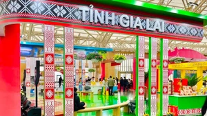 嘉莱省展区。（图片来源：越通社）