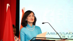 越南驻摩洛哥兼驻科特迪瓦大使黎金龟在活动上致辞。（图片来源：越通社）