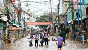芹苴市正面临近年来最严重的历史性内涝。