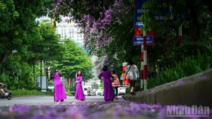 河内市一角。（成达 摄）