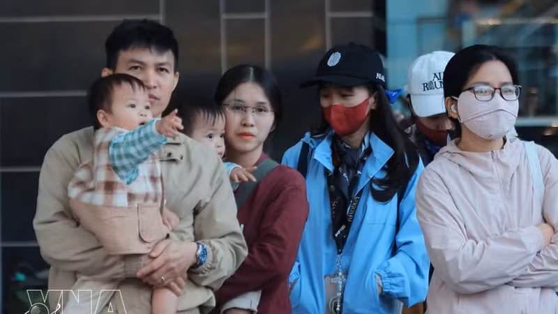 附图。（图片来源：越通社）