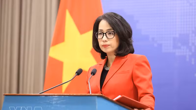 越南外交部发言人范秋姮。（图片来源：越通社）