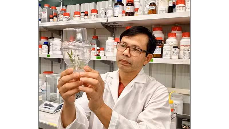 专家建议越南以遗传资源和新技术推动植物生物技术突破。（图片来源：越通社）