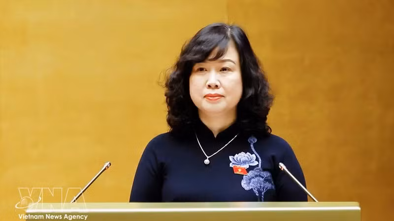卫生部长陶红兰在会上作报告。（图片来源：越通社）