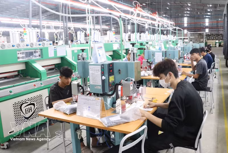 工人在工业流水线上执行各道生产工序，展现了企业日益提升的生产能力。（图片来源：越通社）