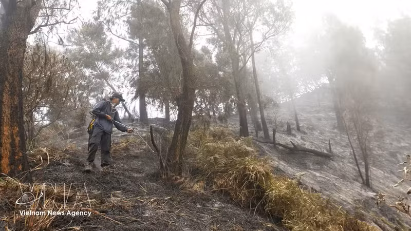 外南梦地区被森林火灾烟雾笼罩。（图片来源：越通社）