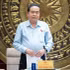 越南国会主席陈青敏发表讲话。